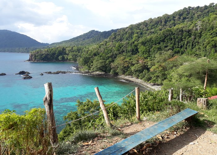 Gua sarang dari atas
