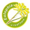Eulophia_Tours