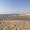 Things To Do in Full Day Desert Safari with Buffet Dinner,Sand Boarding & Camel Ride, Restaurants in Full Day Desert Safari with Buffet Dinner,Sand Boarding & Camel Ride