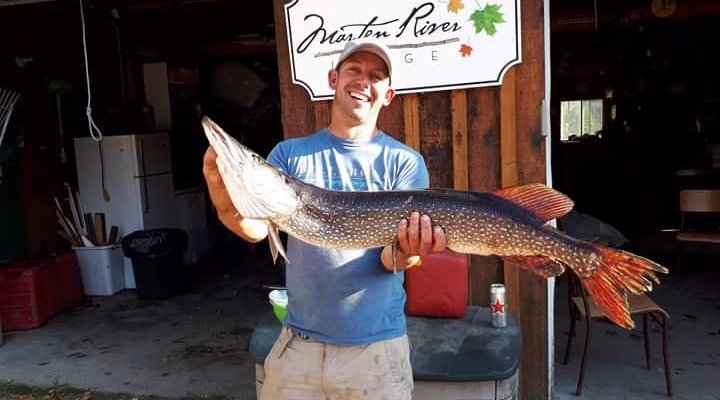 Northern pike 43 inches 16.8 pound.  Wow...Awesome  catch by our guest Chris.