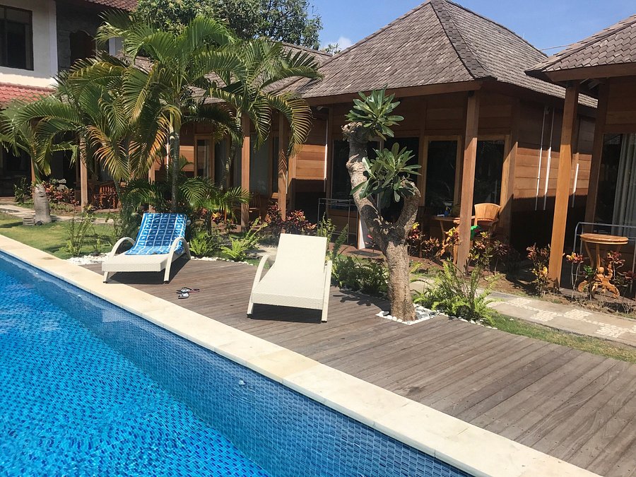 Бали дача. Villa Surf dacha. Villa Surf dacha Веселовка. Easy Surf Camp Bali.