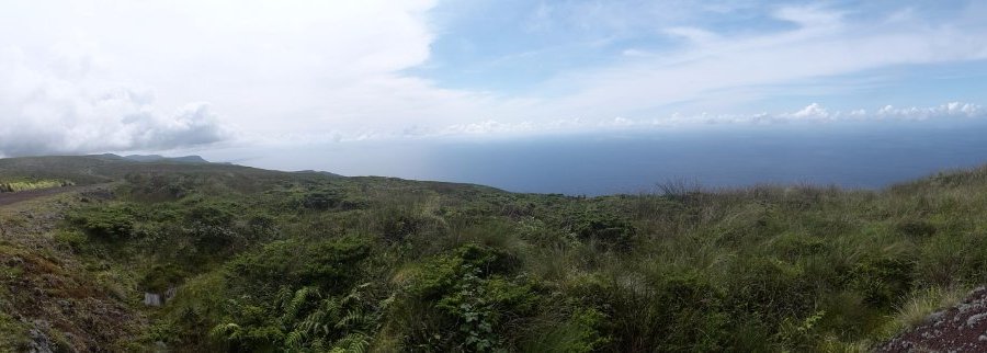 view from the trail
