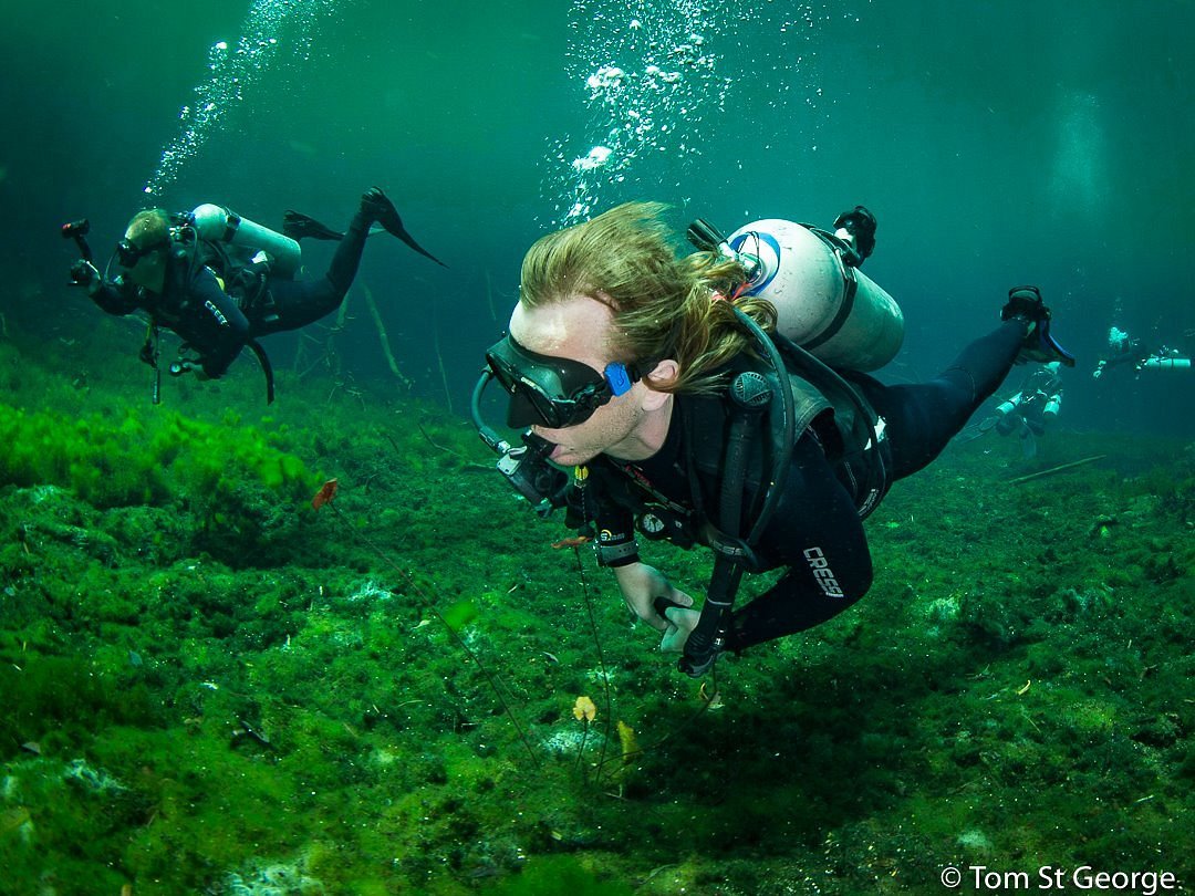 infinity 2 diving tulum