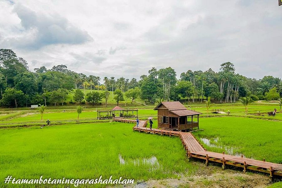 Taman Botani Negara Shah Alam image