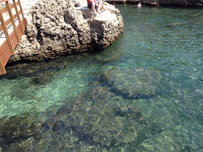 Imagen 10 de Playa Cala ,n Forcat