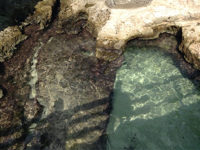 Imagen 9 de Playa Cala ,n Forcat