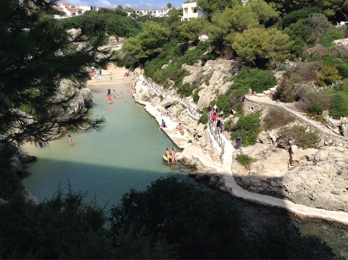 Imagen 8 de Playa Cala ,n Forcat