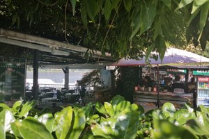 旅行者の写真
