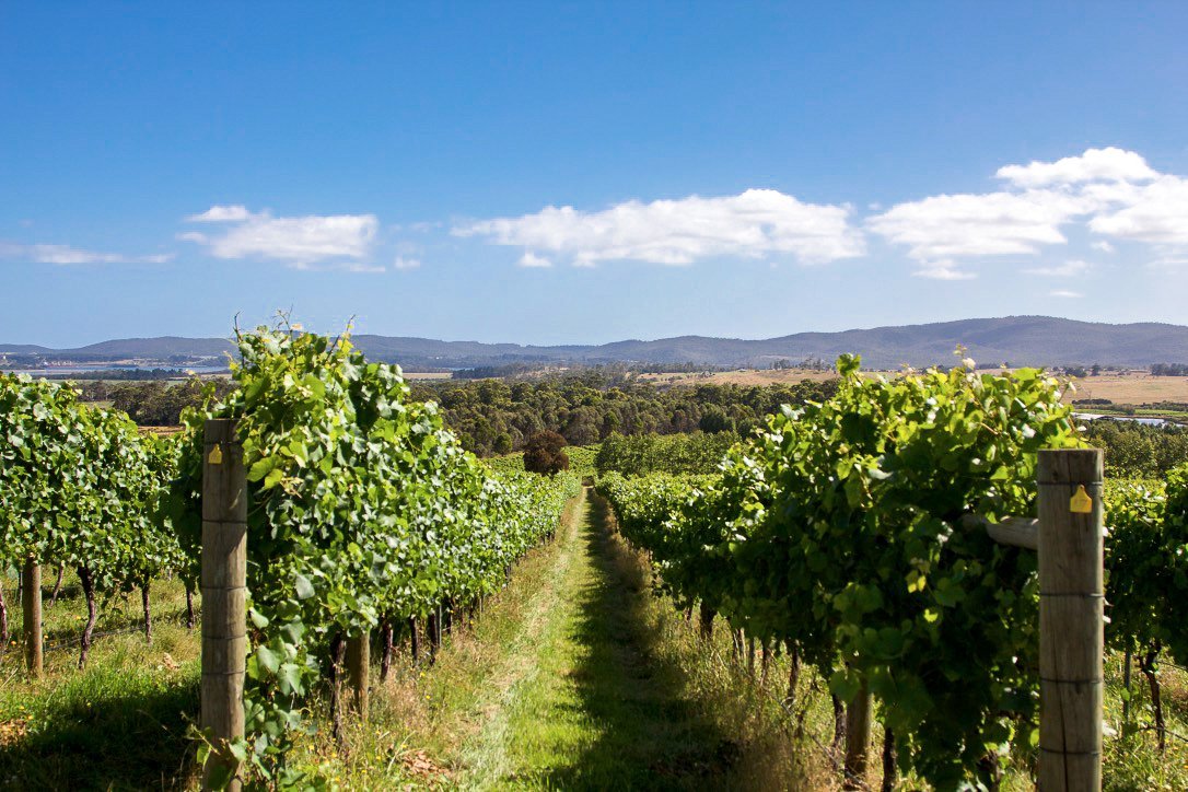 Wines for Joanie (Sidmouth): All You Need to Know BEFORE You Go