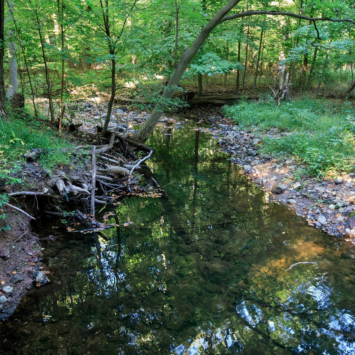 Flat Rock Brook Nature Center (Englewood) - 2023 Lo que se debe saber