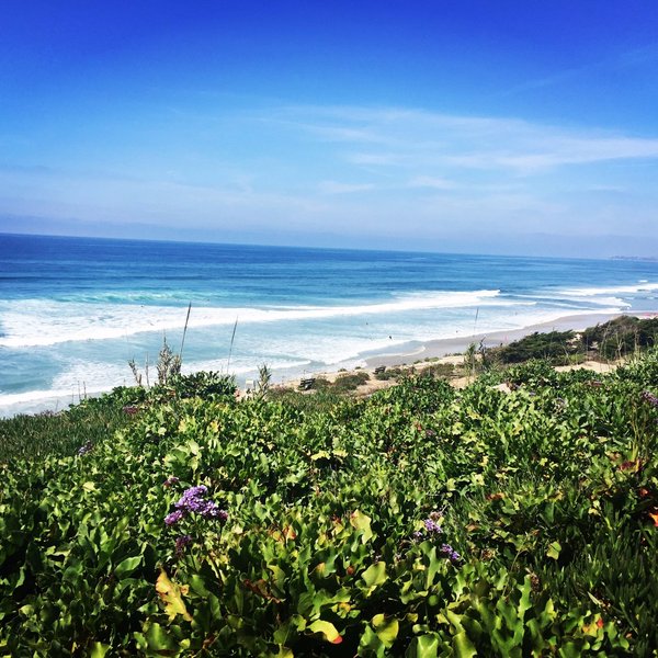 Del Mar City Beach Aktuell für 2022 Lohnt es sich? (Mit fotos)