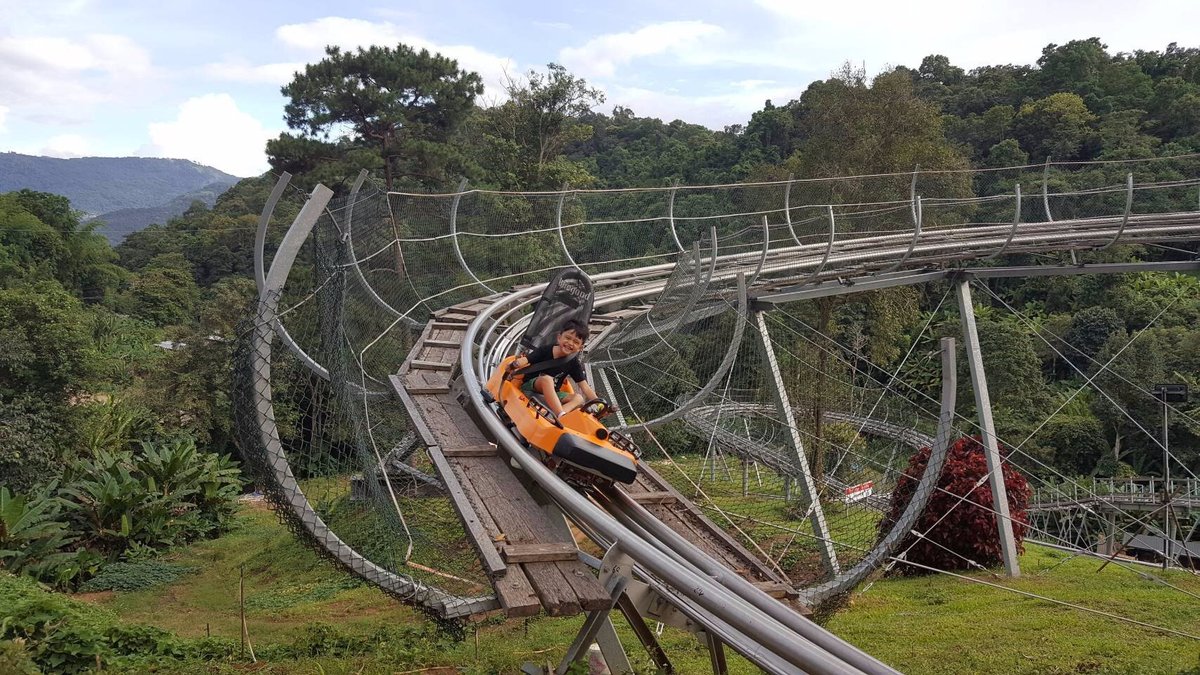 Pongyang Zipline and Jungle Coaster, Чиангмай: лучшие советы перед  посещением - Tripadvisor