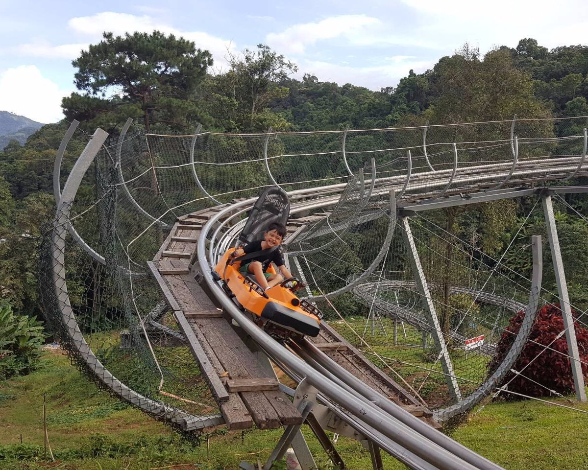 Pongyang Zipline and Jungle Coaster, Чиангмай: лучшие советы перед  посещением - Tripadvisor