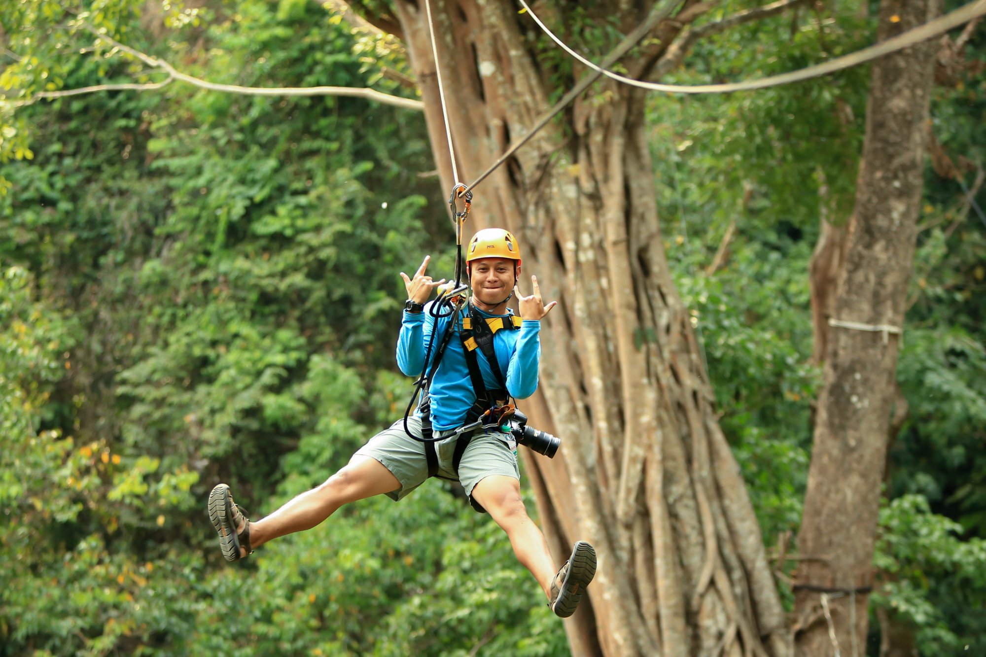 PONGYANG ZIPLINE AND JUNGLE COASTER All You Need to Know BEFORE