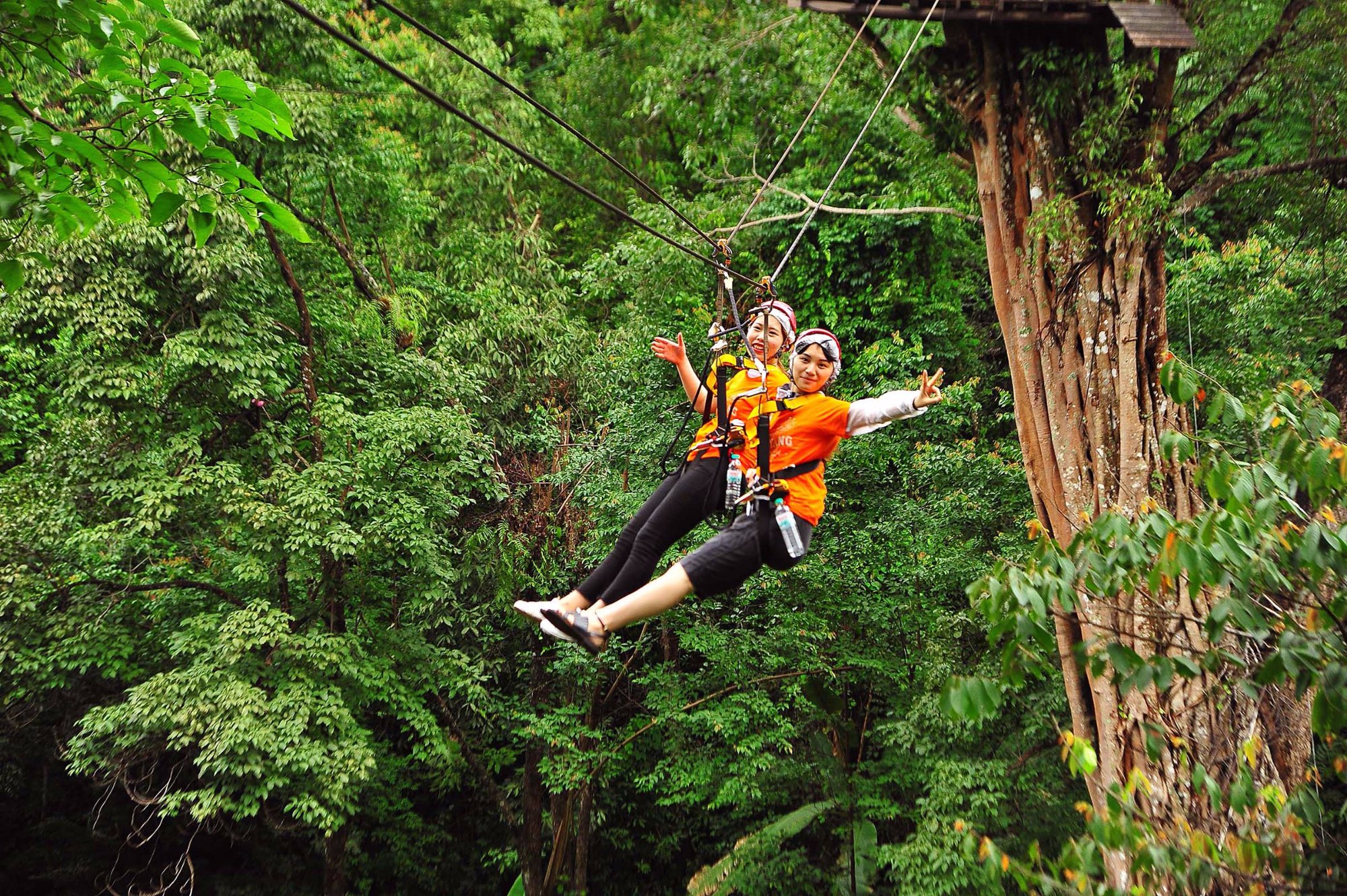 PONGYANG ZIPLINE AND JUNGLE COASTER All You Need to Know BEFORE