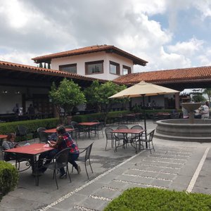 Recorrido con tu viejo pastor ingles por Viñedos La Redonda