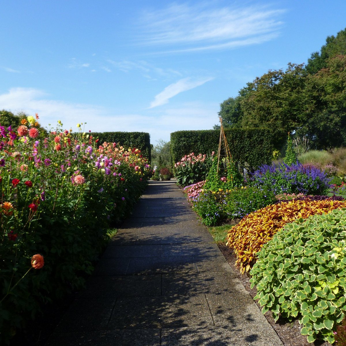 Longwood Gardens, Кеннет-Сквер: лучшие советы перед посещением - Tripadvisor