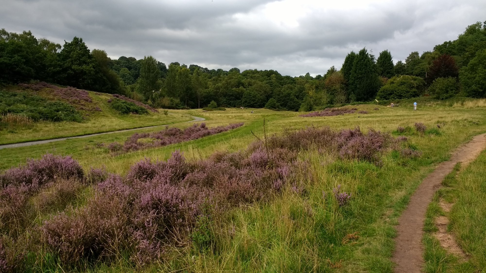 Habberley Valley Local Nature Reserve All You Need to Know