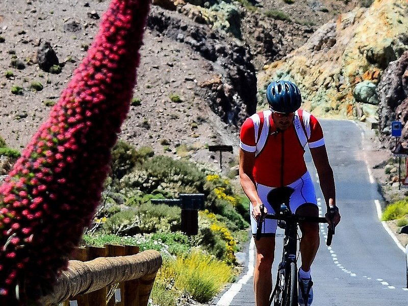 klink Oproepen Pebish Bike Point Tenerife (Playa de las Americas) - All You Need to Know BEFORE  You Go