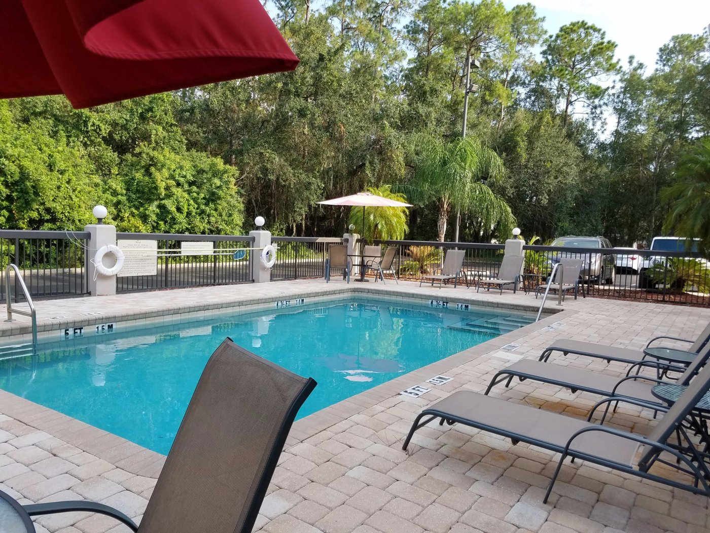 Spark By Hilton Tampa Brandon Pool: Pictures & Reviews - Tripadvisor