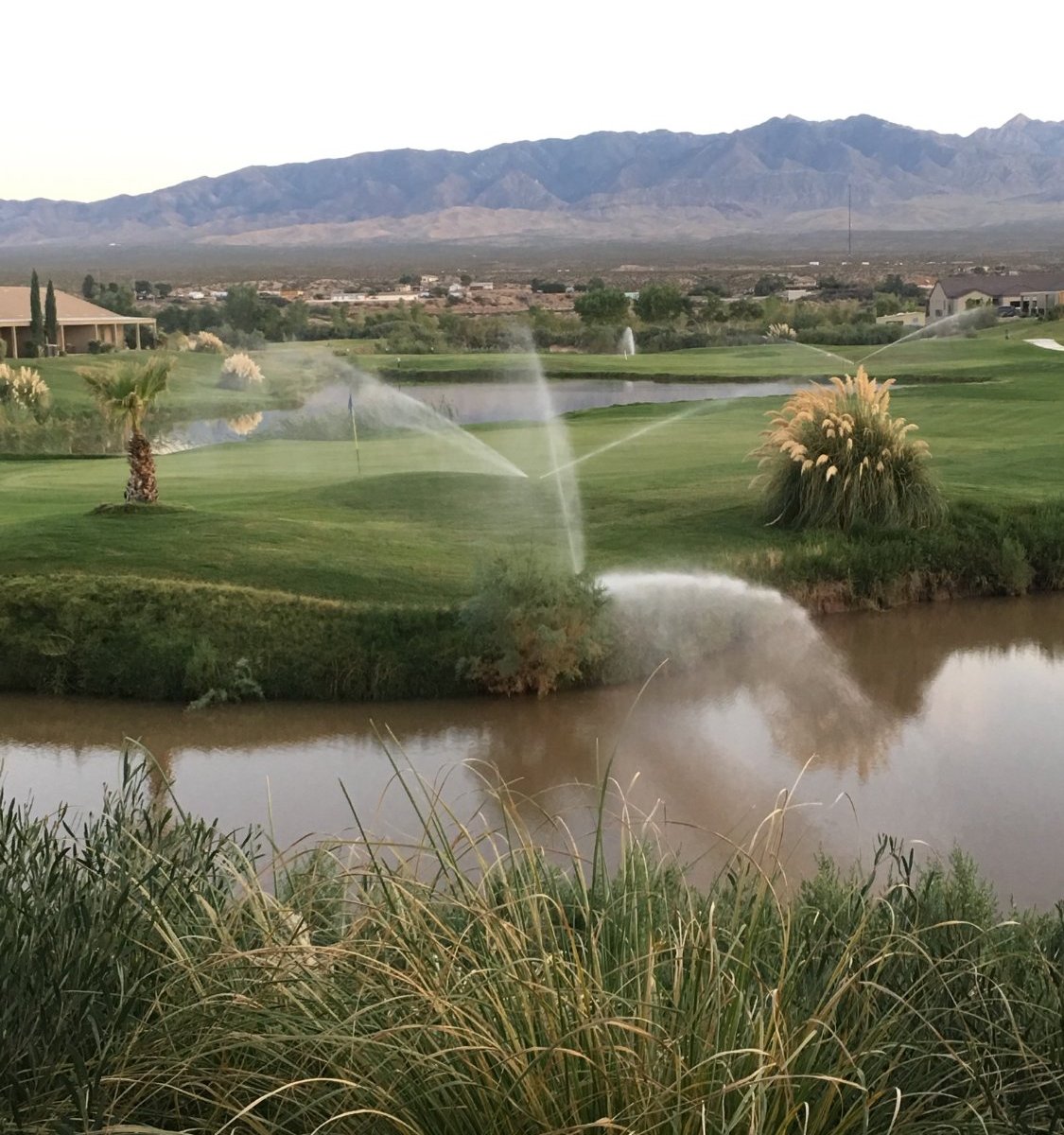 Coyote Willows Golf Course (Mesquite) All You Need to Know BEFORE You Go