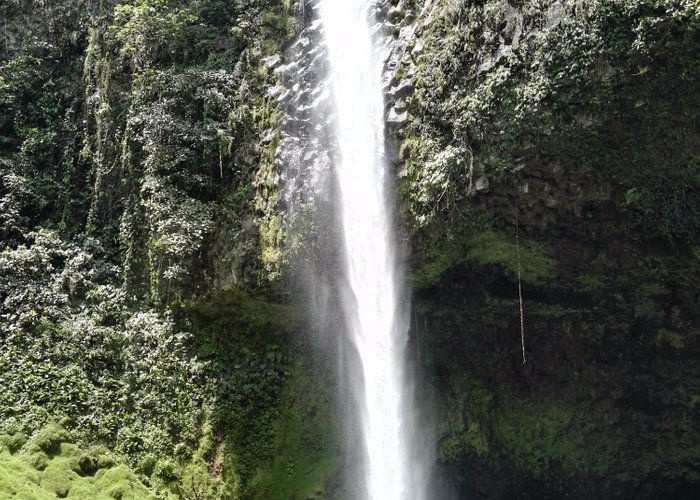 Santa Elena, Costa Rica 2023: Best Places to Visit - Tripadvisor