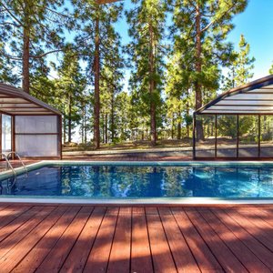 Hotel Spa Villalba in Tenerife, image may contain: Tree, Vegetation, Woodland, Resort