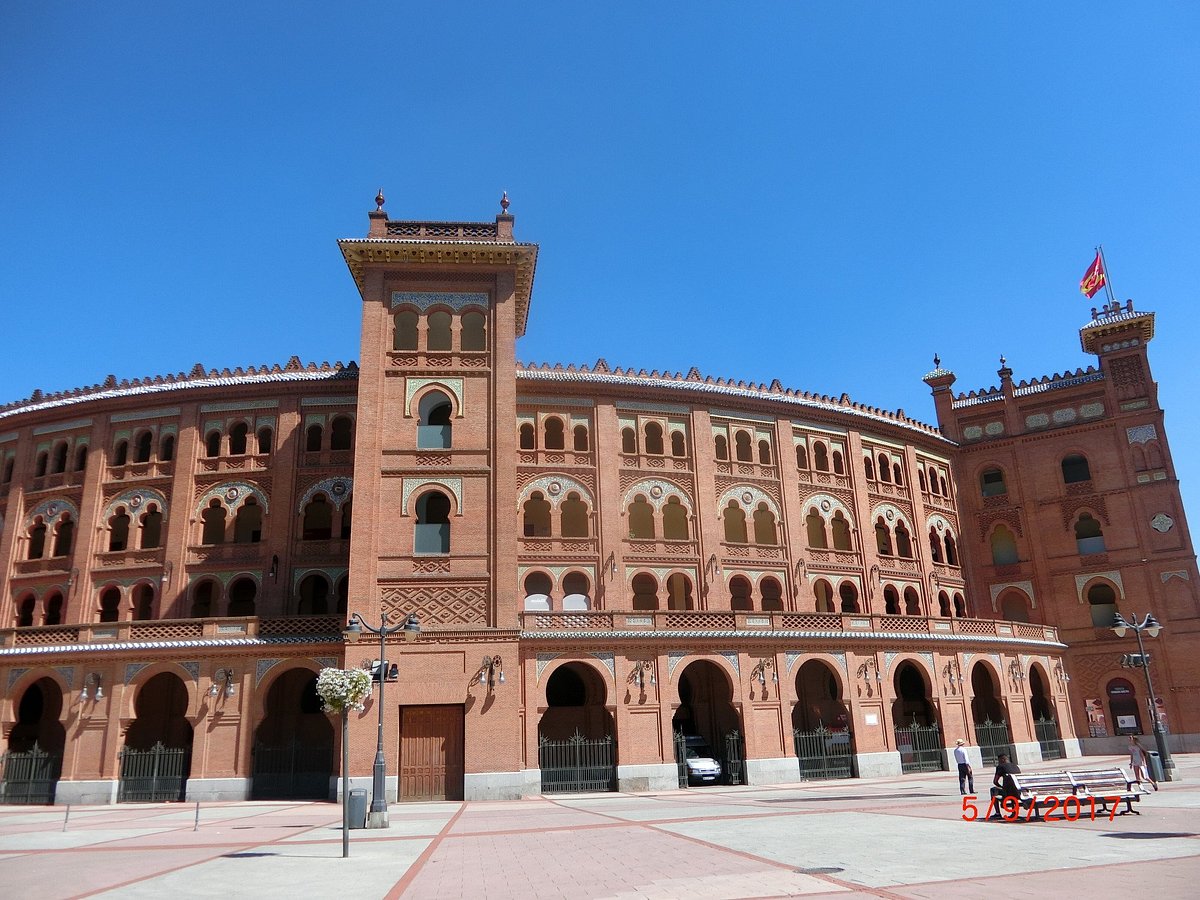 Bullfighting Museum - All You Need to Know BEFORE You Go (2024)