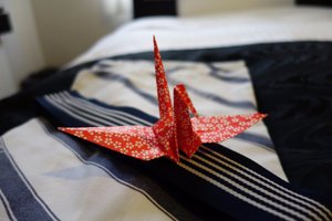 旅客