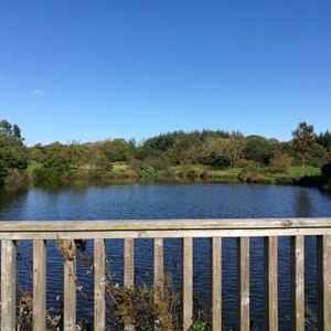Viewing/seating area on lake