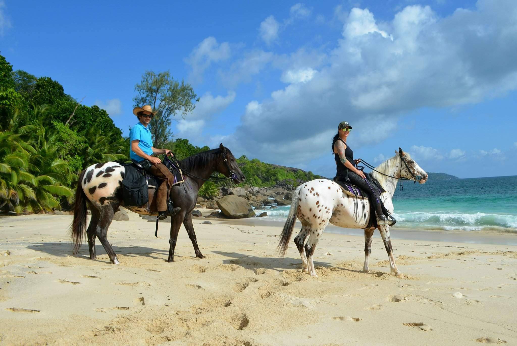 Horse trails sales