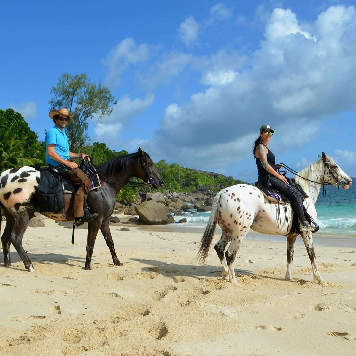 Turquoise Horse Trails, Остров Маэ: лучшие советы перед посещением -  Tripadvisor