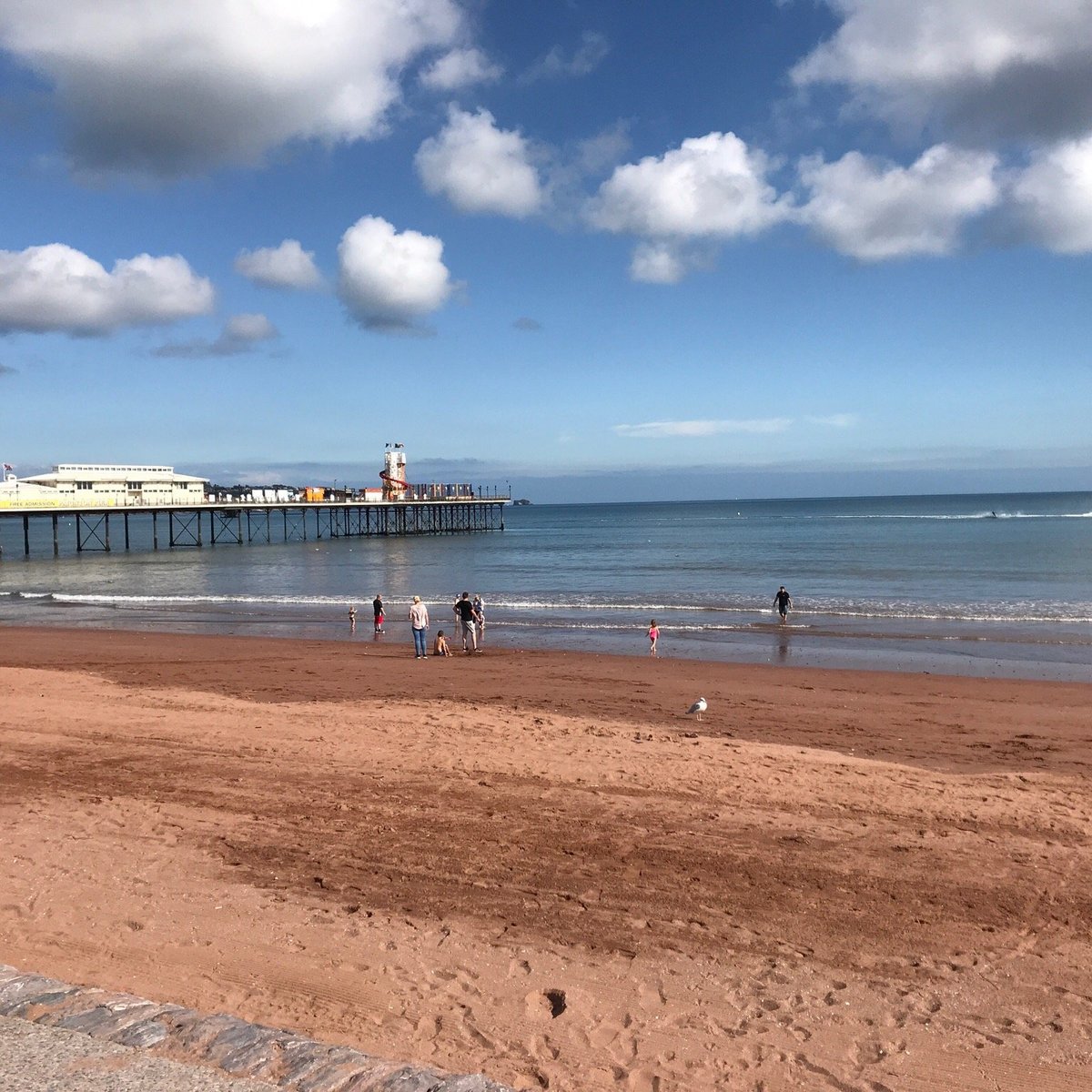 Are Dogs Allowed on Paignton Beach 