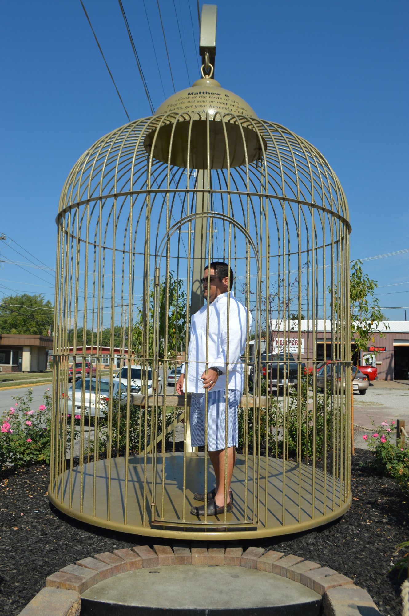 Giant 2025 bird cage