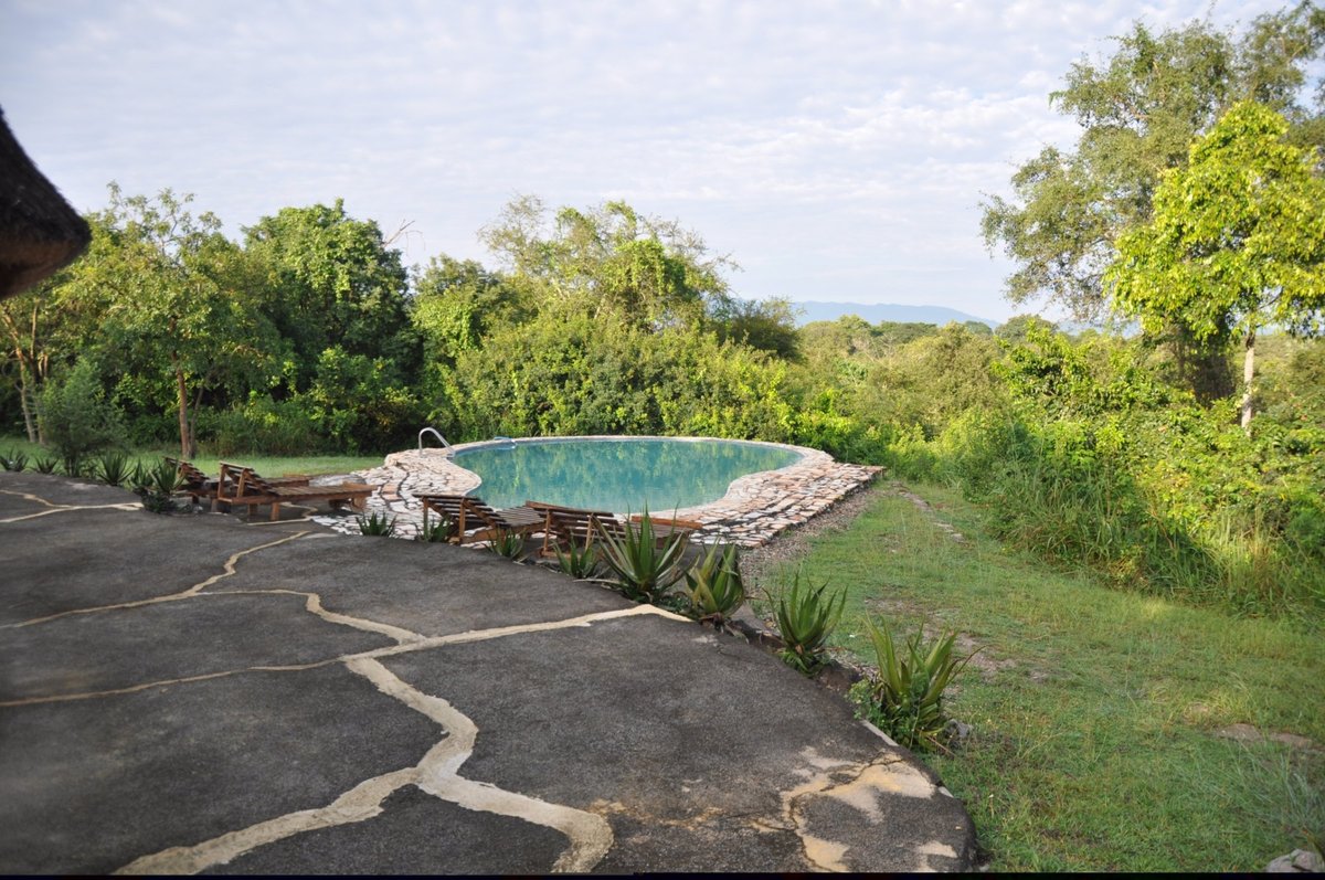 Semliki Safari Lodge Pool: Pictures & Reviews - Tripadvisor