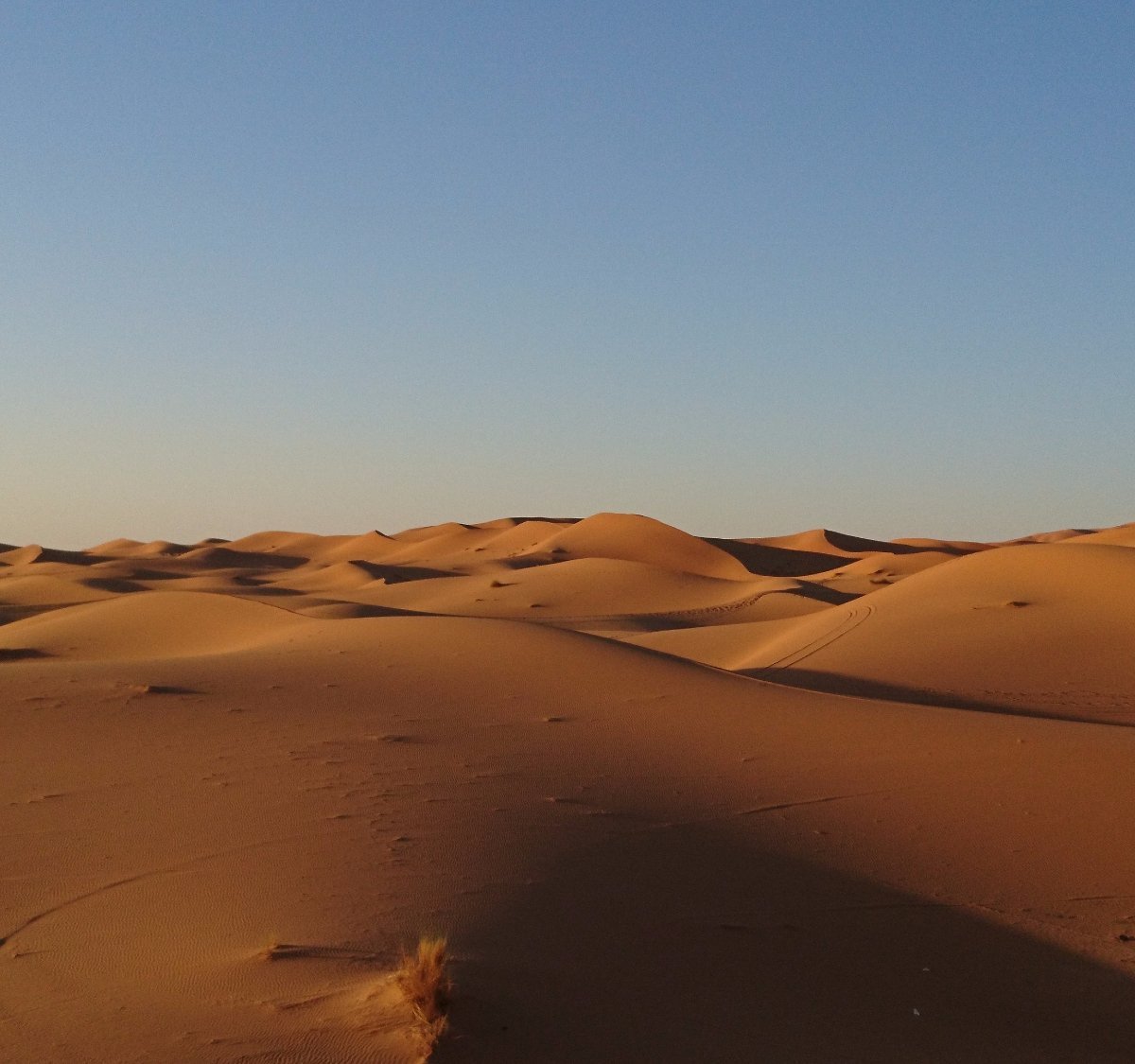 MOROCCO TANGER TOURS (Merzouga) - All You Need to Know BEFORE You Go