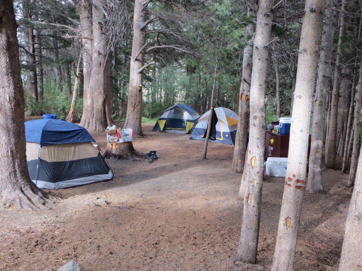 EAST FORK CAMPGROUND Prezzi e Recensioni 2024