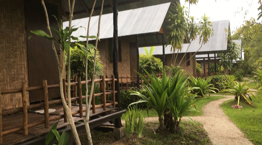 Cute place ! Cozy in nature !