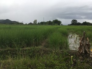Cảnh nhìn từ phòng
