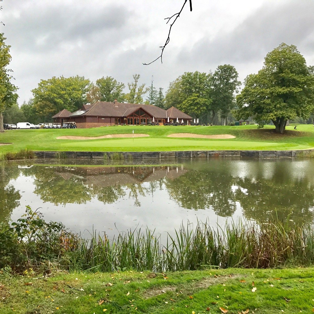 REMEDY OAK GOLF COURSE (Wimborne Minster) Ce qu'il faut savoir