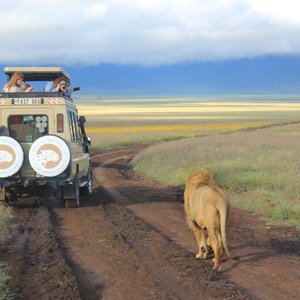 Tanzania 2022: Best of Tanzania Tourism - Tripadvisor