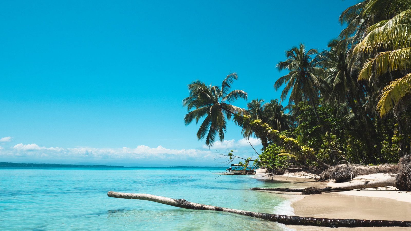 Die 10 besten Provinz Bocas del Toro Hotels mit schönem Ausblick 2023 ...