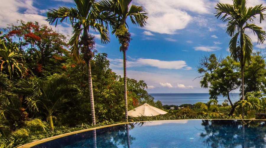 The infinity pool with a view on the rice fields and the sea