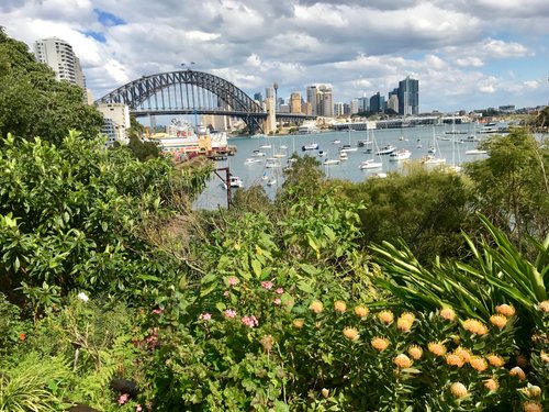 Wendy Whiteley's Secret Garden (北悉尼) - 旅游景点点评- Tripadvisor