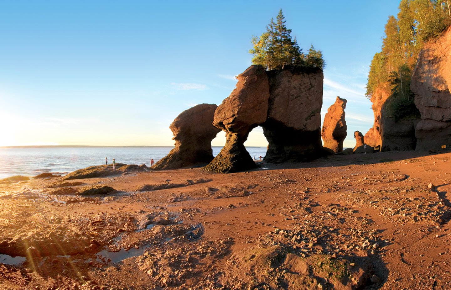 New Brunswick 2024: Best Places To Visit - Tripadvisor