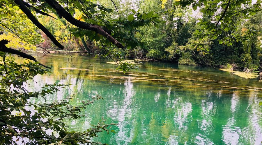 Parco Naturale Regionale del Fiume Sile (2025) - All You Need to Know BEFORE You Go (with Reviews)