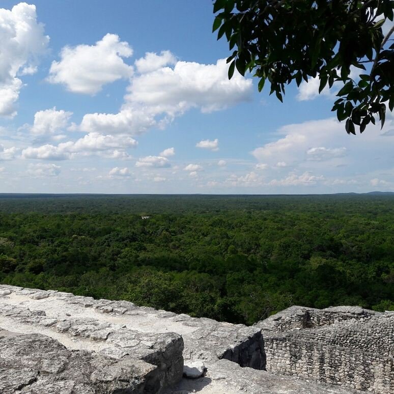 CALAKMUL ADVENTURES DAY TOURS (Xpujil Town) - All You Need To Know ...