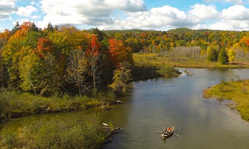 Fall Fly Fishing on the Manistee River, just 20 minutes from Cadillac