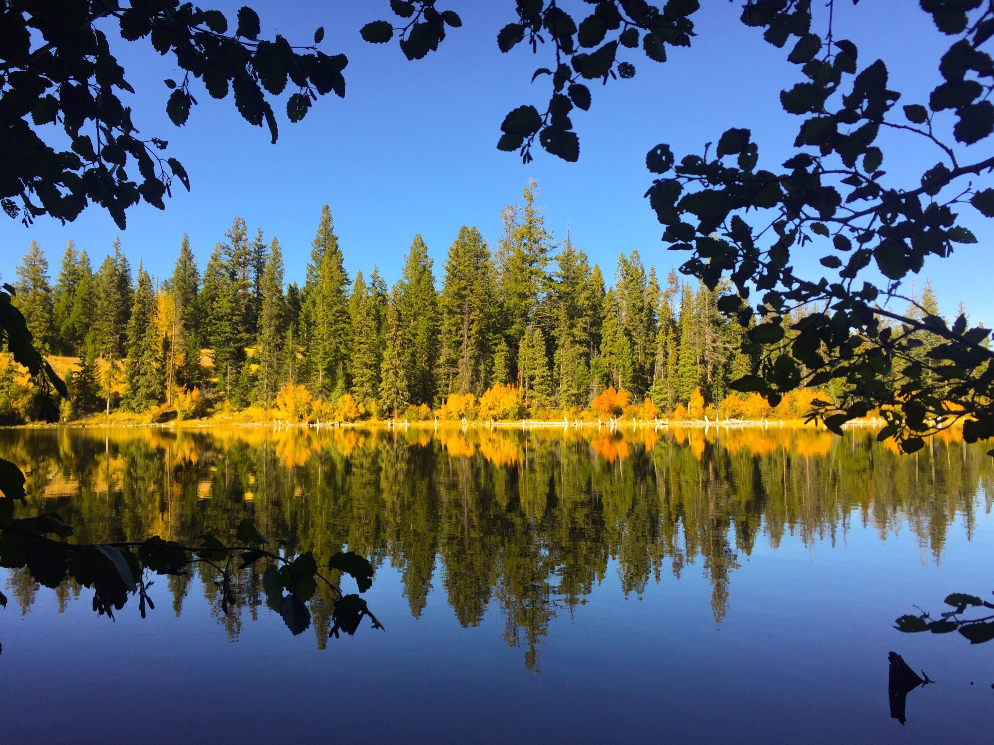 Logan Lake Tourism 2021: Best Of Logan Lake, British Columbia - Tripadvisor