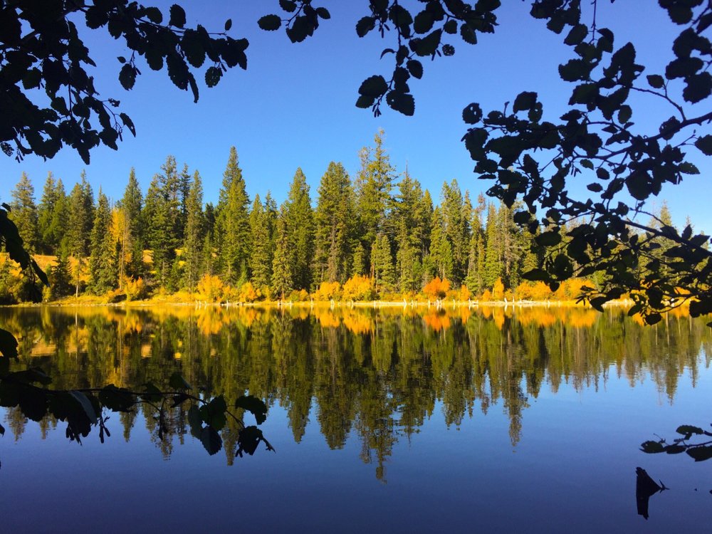 THE 10 BEST Things to Do in Logan Lake - 2023 (with Photos) - Tripadvisor